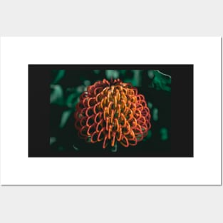 Dark Tropical Flower | Dark Orange and Dark Green | Moody flower Posters and Art